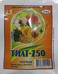Тилт 2г
