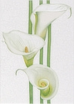 Декор RONA 25*35