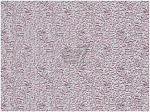 Шпалери 5183-06