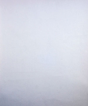 814642   Silver --Home