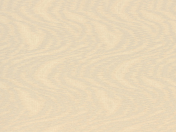 Шпалери 107  479-02