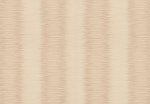 Паула ТФШ 1-0338