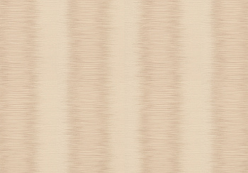 Паула ТФШ 1-0338